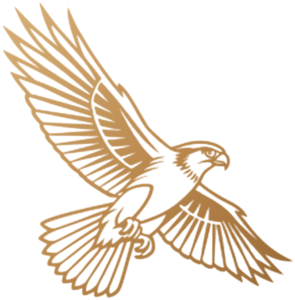 Usługi Sokolnicze – logo